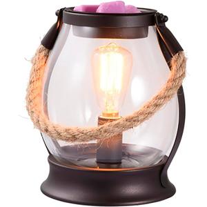 Electric Wax Melt Warmer, Farmhouse Wax Warmer with Twine Handle & Edison Bulb, Flameless Oil Burner for Scented Wax, Retro Decor Night Light for Home Ideal Gift for Women Family