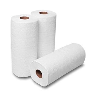 2 Ply Paper Towels (70 Sheets Per Roll)- 10 Rolls-Elegant