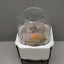 Mustry Glass Drink Dispenser for Parties, 1 Gallon Beverage Dispenser with Stand and Spigot Solid Stainless Steel, Used as Lemonade Dispenser Sun Tea Jar Kombucha Jar