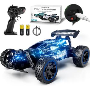 Tecnock RC Cars for Kids, 1:18 Scale 2WD RC Car with LED Lights, 2.4GHz Remote Control Car with USB-C Easy Charging & 50 Mins Playtime, Toys Gifts for Boys & Girls Ages 8-12 (Deep Blue)