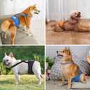 Idepet Belly Bands for Male Dogs with Suspender Detachable, 3 Pack Male Dog Belly Bands Washable Doggie Boy Diapers Reusable Male Pee Wraps for  Dog, M