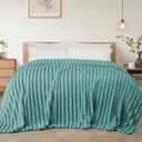 Exclusivo Mezcla Twin Size Flannel Fleece Blanket, Super Soft Striped Jacquard Bed Blanket, Lightweight Fuzzy Cozy for All Seasons, 60x80 Inches, Celadon