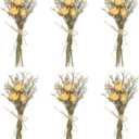 PATIKIL Mini Dried Flower Bouquet, 6 Pcs Rose Natural Wildflower with Stem Decor Baby's Breath Boho Floral Plant Flower for Crafts DIY Photo Props Gift Wedding Decor, Beige