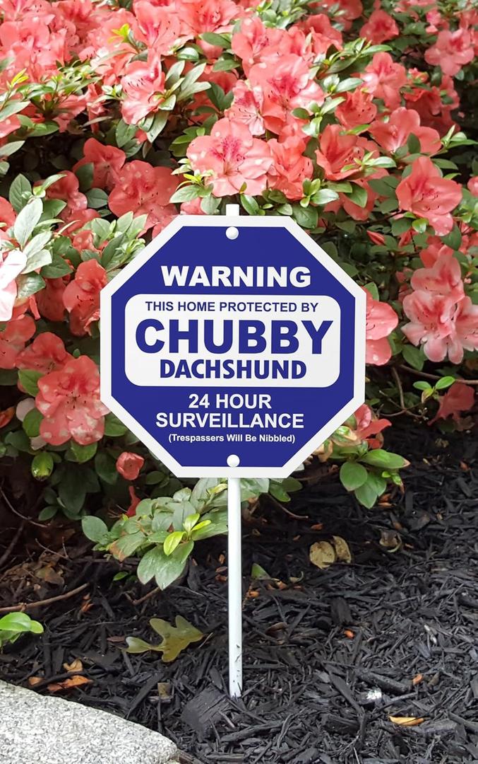 Imagine This S3862 Security Sign