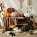 YRXRUS Pumpkin Pillows, Halloween Pumpkin Throw Pillows, Off White Shaped Pillow for Fall Room Decor Gifts, Teddy Fleece Cute 6x12 Inches Halloween Pillow, Accent Fall Pillows (Large (Pack of 1))