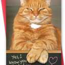 16 x Funny Dad Fathers Day Card from Cat, Humor Cat Dad Gifts on Father's Day, Gift for Pet Cats Lover