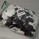 Cow Print Blanket Soft Cute Throw for Couch Bed Sofa, Cozy Fleece Western Farmhouse Cows Room Decor, Gifts for Women Girls Teens, All Season Travel Blanket 50"x60" (Black/White)