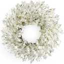 Spring Wreath for Front Door, 24 Inch White Cream Forsythia Spring Wreath Blossom Cluster Flower Farmhouse on Grapevine for Front Door Wall Window Hanging Decor Festival Celebration