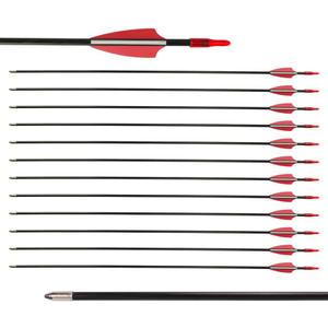 LWANO 28" Fiberglass Arrows - Archery Practice Target Arrows with Blunt Tips Durable Shaft for Youth Kids Children Beginners on Recurve&Long Bows(Pack of 12), 28inch-12pc arrows