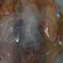 Brushed Gold Vanity Light Amber Hammered Glass Wall Sconce 2-Light Brass Wall Lamp for Hallway Living Room Stairwell Bathroom Over Mirror