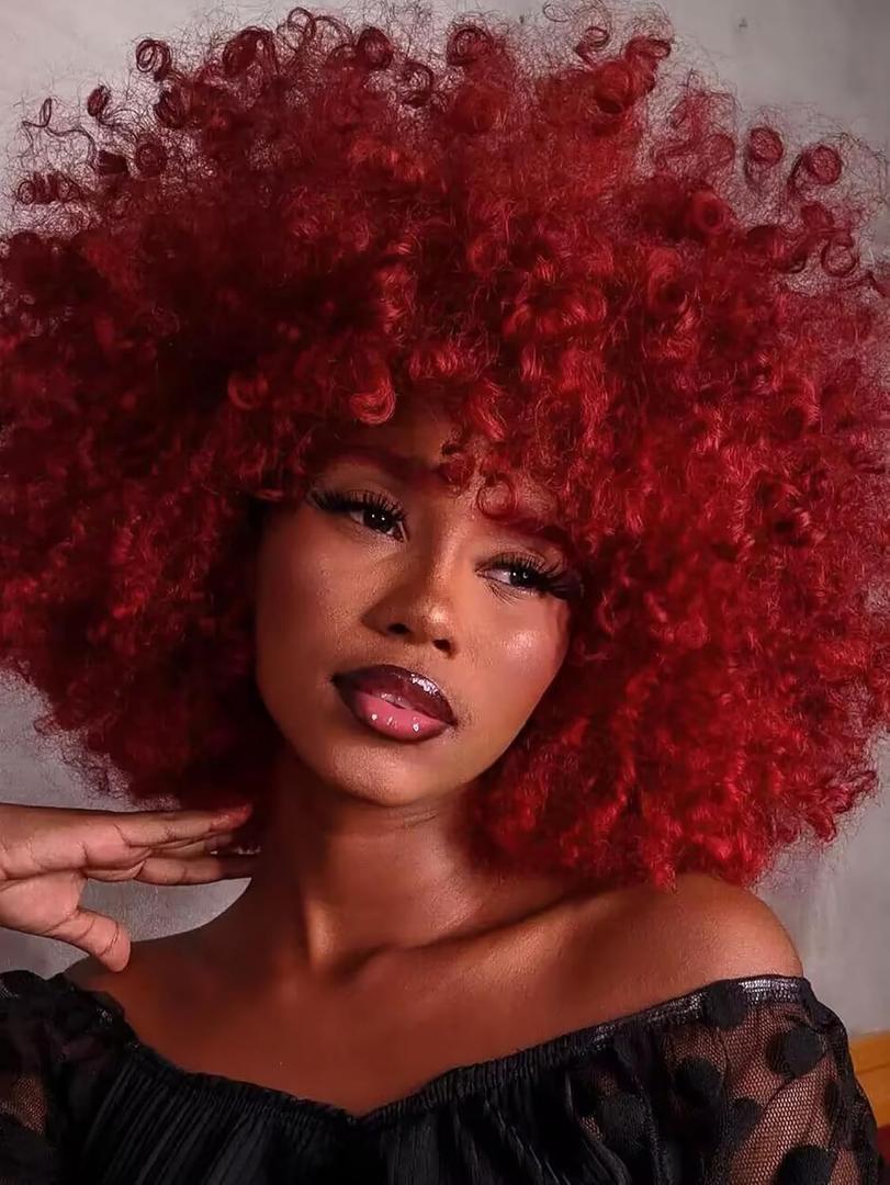 GKtineke Afro Wig 14Inch Afro WIgs for Black Women 70s Afro Kinky Curly Wig Bouncy Huge Fluffy Puff Wigs Synthetic Hair for Cosplay Daily and Party (Burgundy)