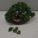 Artificial Bonsai Tree Juniper Faux Plants Indoor Small Fake Plants Decor with Ceramic Pots for Home Table Office Desk Bathroom Shelf Bedroom Living Room Farmhouse Decorations