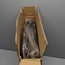 VIVOHOME Polyresin Antique Outdoor Golden Garden Bird Bath and Solar Powered Round Pond Fountain Combo Set