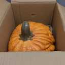 Halloween Decorations Pre-lit Jack O Lantern Artificial Pumpkin Fake Harvest Pumpkins for Fall Home Farmhouse Harvest Thanksgiving Pumpkin Lanterns for Halloween Porch Party Front Door Fireplace Decor