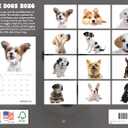 Cute Dogs Calendar 2026 Monthly Wall Calender 12 Month | American Made In The USA