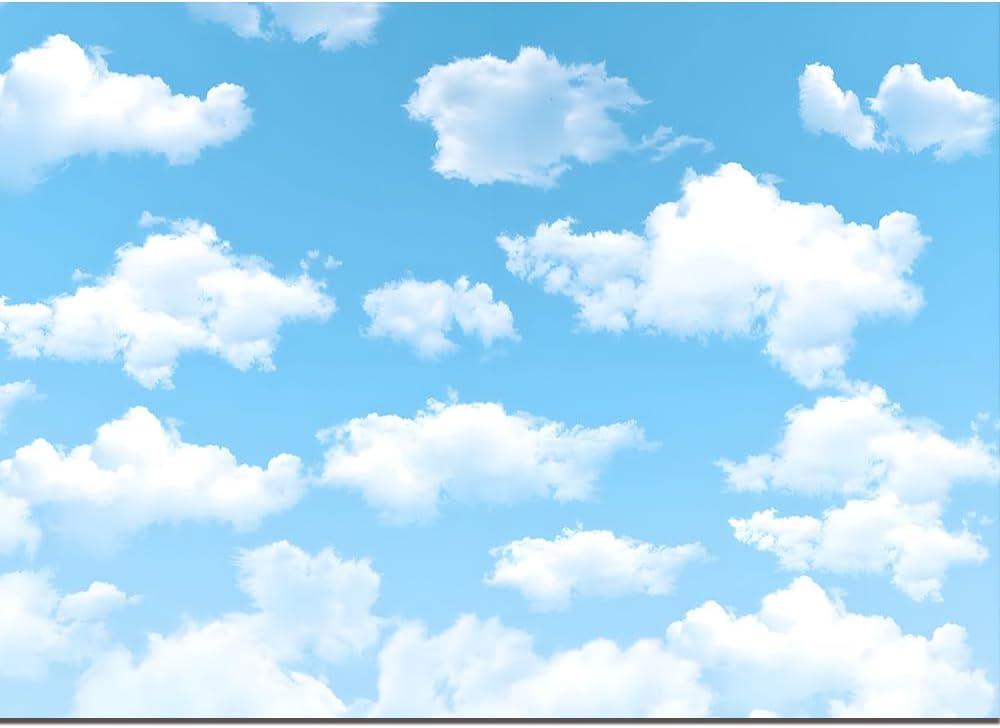 Qian 7x5ft Blue Sky White Clouds Backdrop Natural Scenery Sunshine Sky Clouds Photography Backdrop Wedding Birthday Party Decoration Newborn Baby Shower Backdrop
