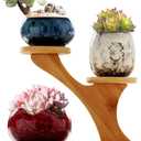 Simcat Ceramic Succulent Pots with Drainage Half, 3Pcs Cactus Planter Pots with 3 Tier Bamboo Saucers Stand Holder Drainage for Home Office Desktop Windowsill Décor (6)