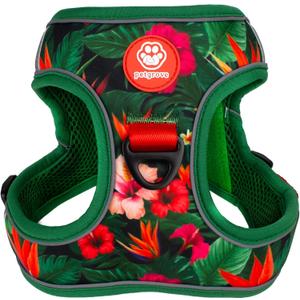 Step in Extra Small Dog Harness and Puppy Harness No Pull No Choke Mesh Vest with Front & Back Clips for XS Small Breed Dogs (Tropical Paradise, XS)