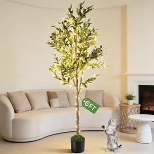 Artificial Olive Trees, 6FT Tall Faux Olive Tree with Lights Moss and Planter, Artificial Plants Indoor with Natural Wood Trunk and Lifelike Fruits Fake Plant for Home Office Living Room Decor