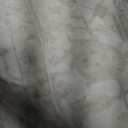 9 x 12 (ft) Loomed Polypropylene White/Gray Rectangular Indoor Floral/Botanical Farmhouse/Cottage Area rug