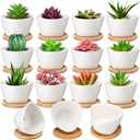 Domensi 12 Pack Succulent Planter Pots 3 Inch Small Plant Pots Mini Ceramic Succulent Planter Holder with Drainage Holes and Bamboo Saucers (White)
