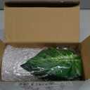 16" Small Fake Plants Artificial Tropical Faux Plants Indoor Desk Plant for Home Office Kitchen Shelf Sage Green Decor