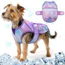 KYEESE Dog Cooling Vest Lightweight Dog Cooler Jacket for Summer 3D Breathable Mesh Pet Cooling Shirts with Reflective Stripe UV Protection Pet T Shirt for Beach, Hiking, Walking (Purple, M) (Medium (11-18lbs))