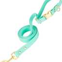 PetBonus Waterproof Dog Leash, 5 FT Odor Proof Walking Training Lead for Small Medium Dog, Adjustable Handle with Side Release Buckle (M, Mint Green) (Medium (Up to 90 lbs))