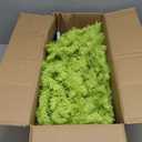 Whimsical Christmas Tree - Christmas Decorations - 6ft Pre-Lit Artificial Tree with Timer Remote Control 150 LED Lights - Xmas Holiday Decor for Indoor Home Living Room Office (Green)