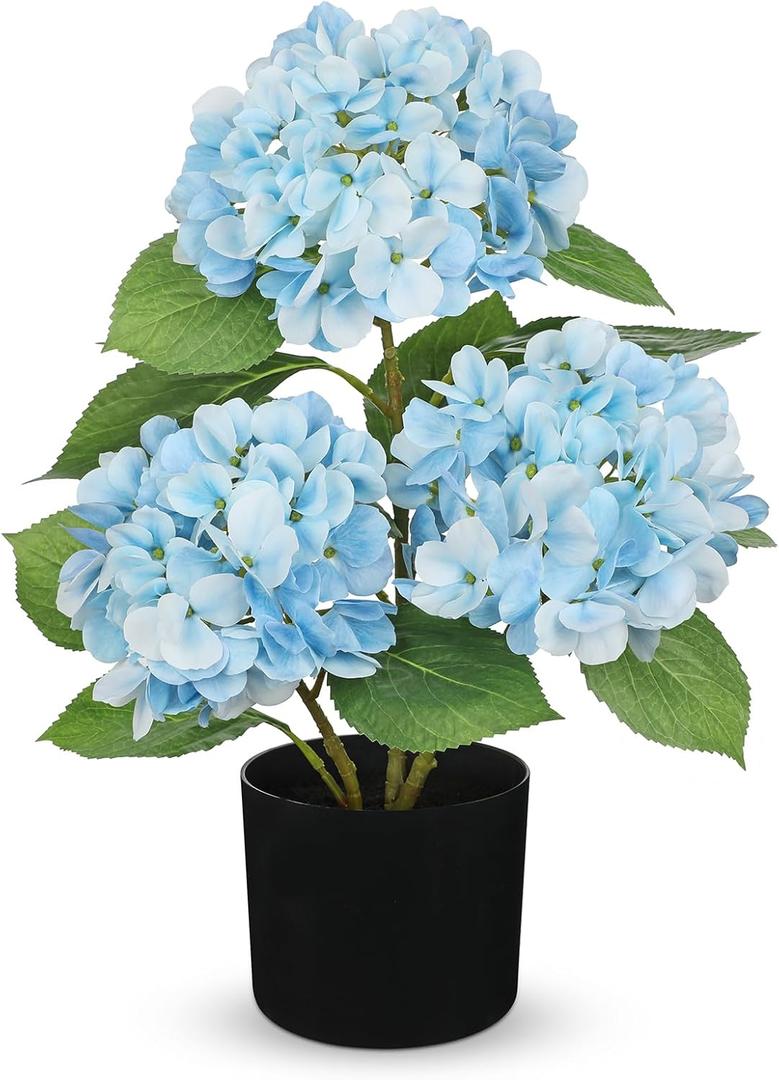 Hollyone Light Blue Hydrangea Artificial Flowers Plant Potted 19.7" Faux Silk Hydrangea Flower Tree Arrangements for Home Bathroom Office Table Centerpiece Shelf Decorations (3 Head Hydrangea)