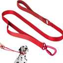 Nylon Dog Leash Heavy Duty Lightweight w/Traffic Handle and Elastic Two Handles, Carabiner Clip Lock Durable Dog Training Leash Walking Lead for Medium Large Dogs (Vivid Red, L)