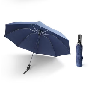 Parasol Automatic Open Umbrella, Blue 