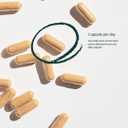 Dr Sosnowski's Hive Hero  Propolis, Royal Jelly & Bee Pollen Supplement  Triple Hive Action for Daily Wellness  60 Vegetable Capsules