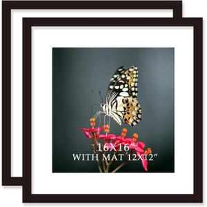 16x16 Frame Black With Mat 12x12 Solid Wood Picture Frames Wall Mounting (2 pack, 16x16 Inch)