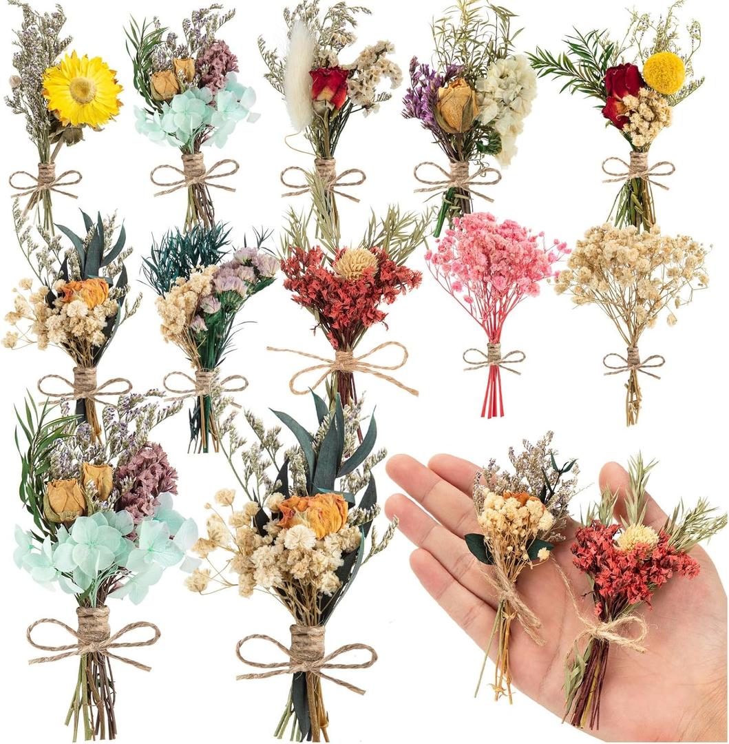 10 Pcs Dried Flowers for Crafts, Mini Dried Flowers Bouquet Bulk for Vase DIY Photo Bridesmaid Gift Birthday Decor
