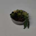 Amazon.com: MyGift 8 Inch Round Modern Artificial Succulent Arrangement Potted in Gray Concrete Plant Bowl, Assorted Faux Mini Succulents in a Decorative Planter Pot : Home & Kitchen