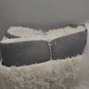 Ophanie Area Rugs for Bedroom, Christmas Upgrade Non-Slip Ivory Fluffy Soft Shag Living Room Carpet, Indoor Floor 4x6 Fuzzy Shaggy Living Room Plush Nursery Rug for Kids Home Dorm Decor Aesthetic