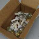 Glade PlugIns Refills Air Freshener, Scented and Essential Oils for Home and Bathroom, Apple Cinnamon, 6.7 Fl Oz, 10 Count