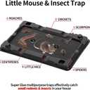 LULUCATCH Mouse & Insect Traps 12 Pack, Heavier Sticky Traps with Non-Toxic Glue for Small Mice & Insects. Sticky Mouse Traps Indoor for Home, Easy to Set