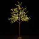 6ft Lighted Olive Tree with 300 Warm White LED Lights for Holiday Decor - Dimmable, UL Certified - Ideal for Indoor and Outdoor Decoration