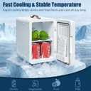 6L Mini Fridge with 3-Level Dimmable LED Mirror, Cooling & Warming, AC/DC Portable Skincare Fridge for Dorm, Car, Office, 10.2 x 7 x 11.4 inches