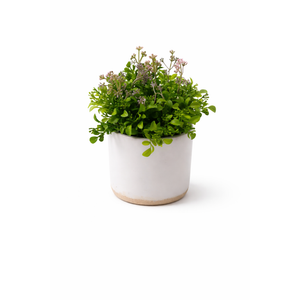 10" Fake Artificial Plant