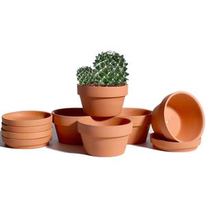 Vensovo 5.7 Inch Terracotta Shallow Succulent Pot - 6 Pack Terra Cotta Clay Pots with Saucer, Cactus Terra-Cotta Indoor and Outdoor Planters with Drainage Hole (Brown)