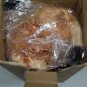 Highland Cow Stuffed Animal Realistic Scottish Cow Plush Toy Soft Farm Animal Cattle Plushie Doll Present for Adults Kids Boys Girls (Brown Cow, 10.8 Inch)