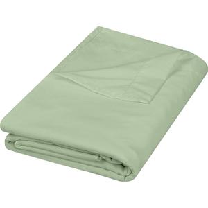Utopia Bedding Flat Sheets - Pack of 6 - Soft Brushed Microfiber Fabric - Shrinkage & Fade Resistant Top Sheets - Easy Care (Twin XL, GREEN)