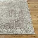 Livabliss x Galey Alix Collins Avenue VI Vintage Medallion Area Rug, 7'9" x 10' (8' x 10'), Light Brown