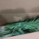 5ft Artificial Palm Tree – Realistic Fake Palm Tree Decor for Indoor & Outdoor – Large Tropical Faux Palm Tree, Low Maintenance Artificial Indoor Plant, Fake Palm for Home, Office & Patio