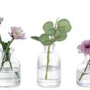 Glasseam Mini Glass Bud Vases: Small Clear Vases for Centerpieces Cute Tiny Flower Vase Set of 5 for Flowers Modern Centerpiece Decor for Wedding Party Dining Room Decoration