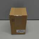 Santa Barbara Design Studio Holiday Stemless Wine Glass with Gold Foil Accent and Gift Box, 17-Ounce, Wonderful Time