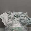 Amazon Basics Lightweight Super Soft Easy Care Microfiber 3 Piece Bed Sheet Set With 14-Inch Deep Pockets, Twin XL, Aqua Fern, Printed